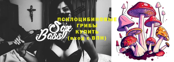 кокс Алексин