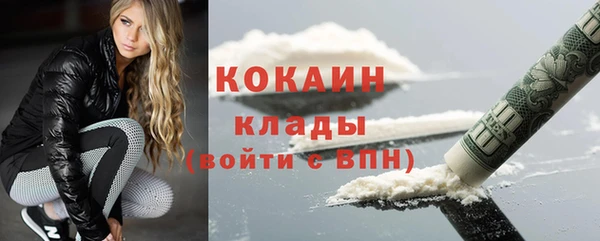 кокс Алексин