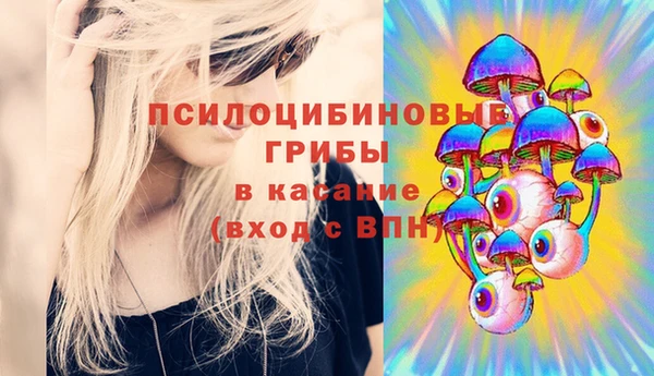 молекула духа Алексеевка
