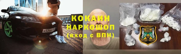 кокс Алексин