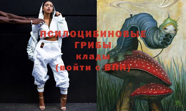 кокс Алексин