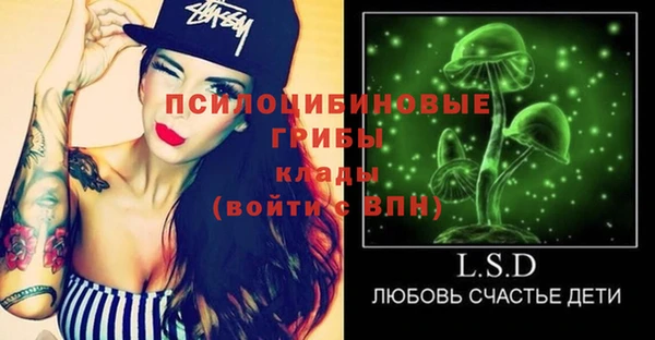 молекула духа Алексеевка