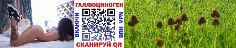 купить наркотик  Миасс  Галлюциногенные грибы мицелий 